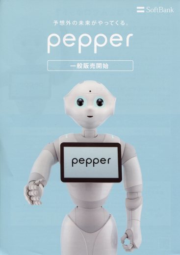 pepper_a0258052_15445310.jpg