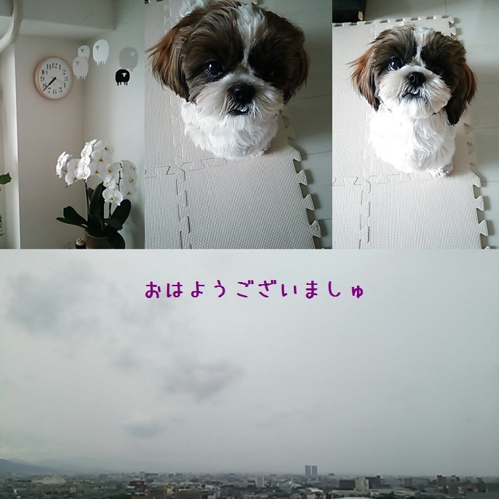 c0363378_17084879.jpg
