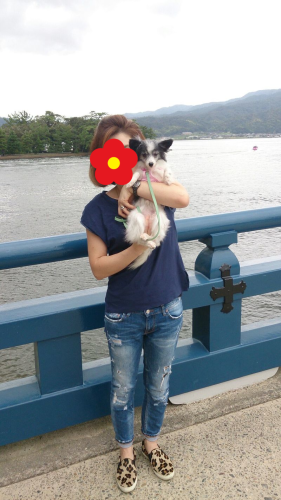 b0237894_17091367.png