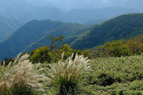 e0304001_22112481.jpg