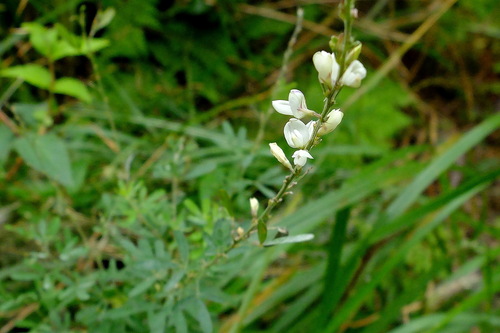 e0304001_2214487.jpg