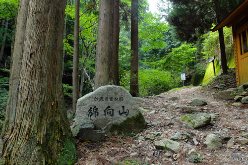 e0304001_22191860.jpg