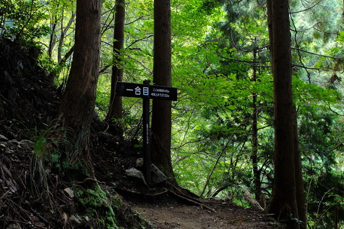 e0304001_22231435.jpg