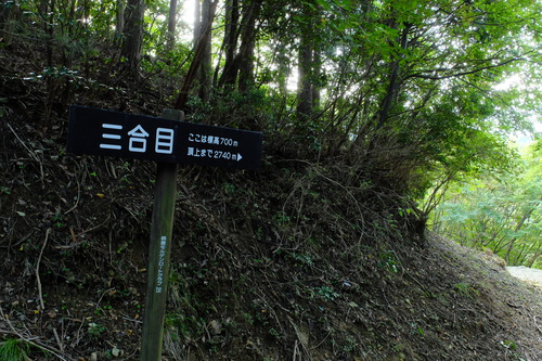 e0304001_22243224.jpg