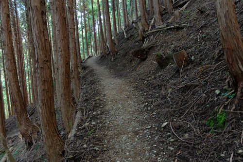 e0304001_22251185.jpg
