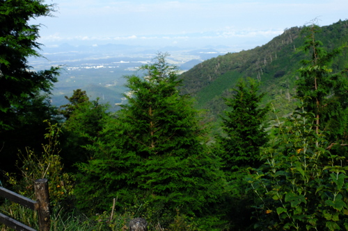 e0304001_2227499.jpg