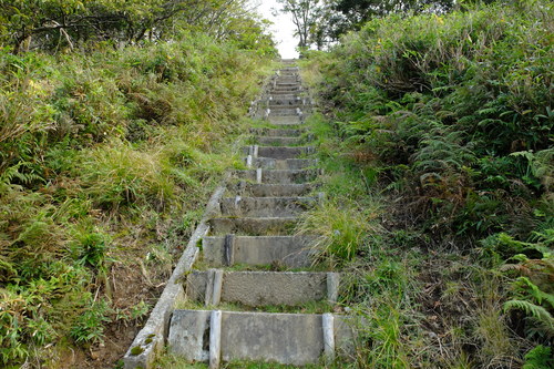 e0304001_22344159.jpg