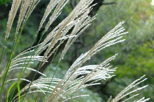 e0304001_2234440.jpg