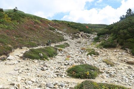 a0158702_2019660.jpg