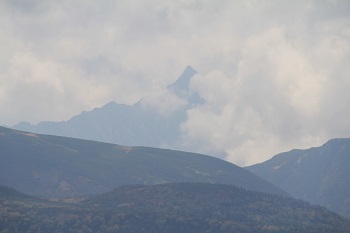a0158702_20203311.jpg