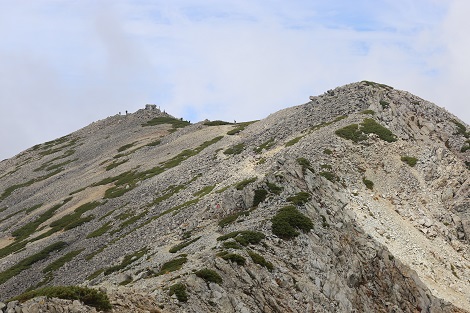 a0158702_20223139.jpg