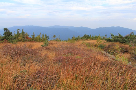 a0158702_20384366.jpg