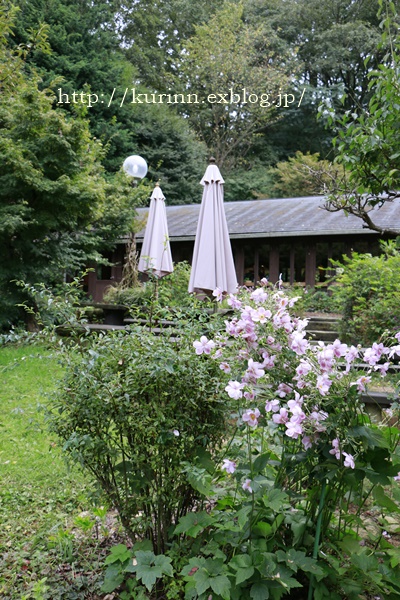 a0123003_22561047.jpg