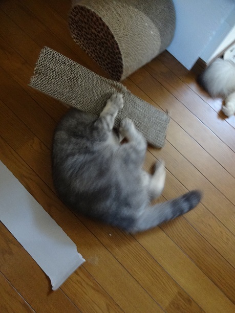 c0178104_15285853.jpg