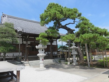 「南蔵院の縄地蔵」（「願懸重宝記」⑦　江戸の祭礼と歳事）_c0187004_10020758.jpg