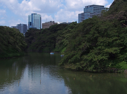 c0156908_8335292.jpg
