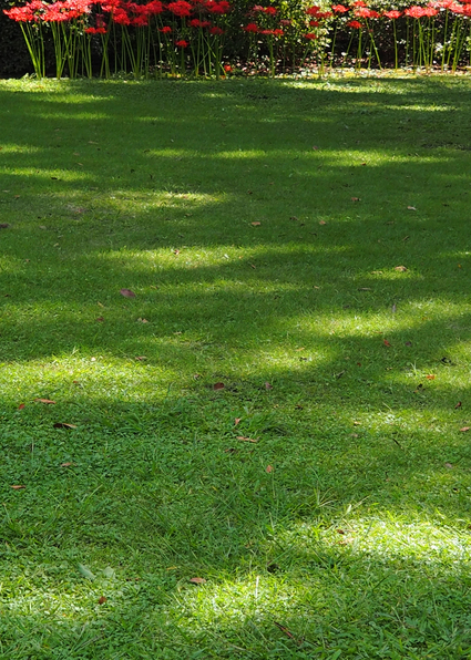 c0156908_8353569.jpg