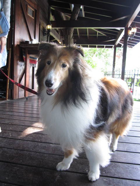 f0327308_20592038.jpg