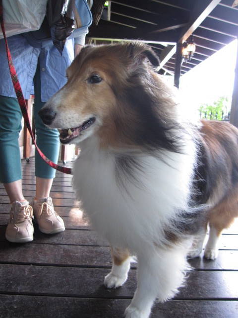 f0327308_21000552.jpg