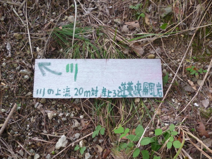 こうすけの ドキドキワクワクにしのみや劇場_b0305811_00080917.jpg