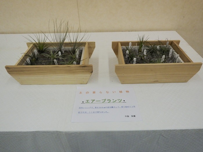植物友の会作品展_c0116915_015325.jpg