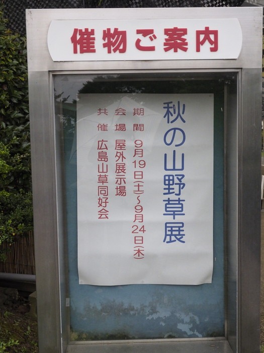 植物友の会作品展_c0116915_0181832.jpg