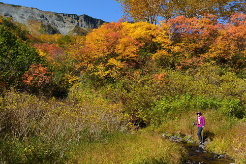 2015年9月『錦織りなす大雪山』  September 2015 \"Autumn Colour in Taisetsu Mountains\" _c0219616_752750.jpg