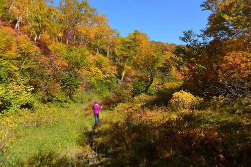 2015年9月『錦織りなす大雪山』  September 2015 \"Autumn Colour in Taisetsu Mountains\" _c0219616_7551152.jpg