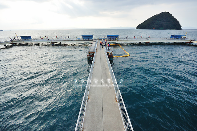 浅虫海釣り公園 青森市 風の散歩道 浅虫海釣り公園 青森市 風の散歩道