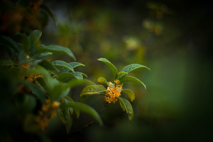 b0134829_16365570.jpg