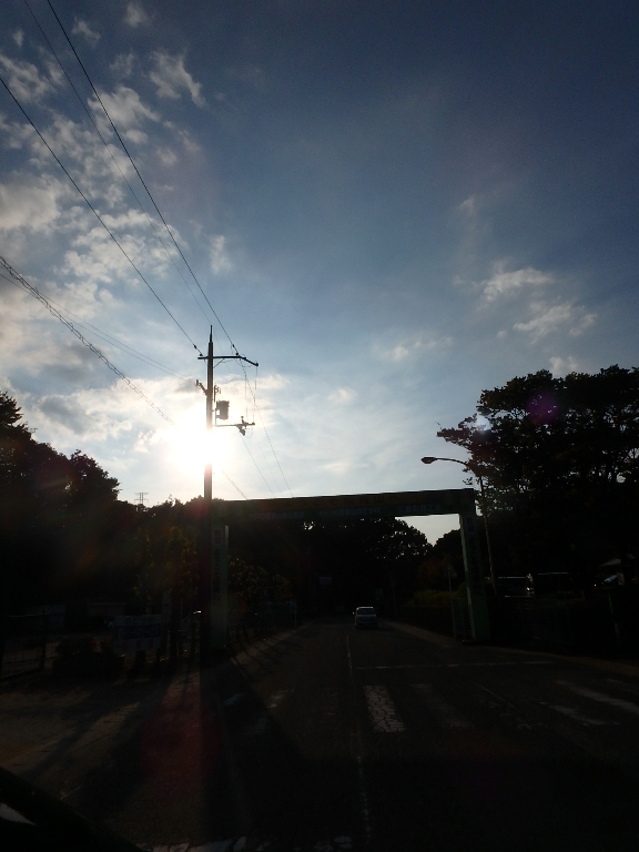 c0113733_14863.jpg