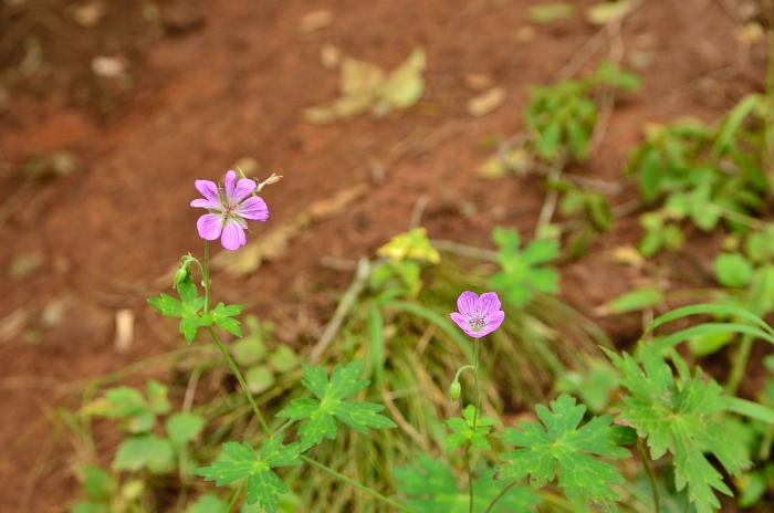 b0236334_7344081.jpg