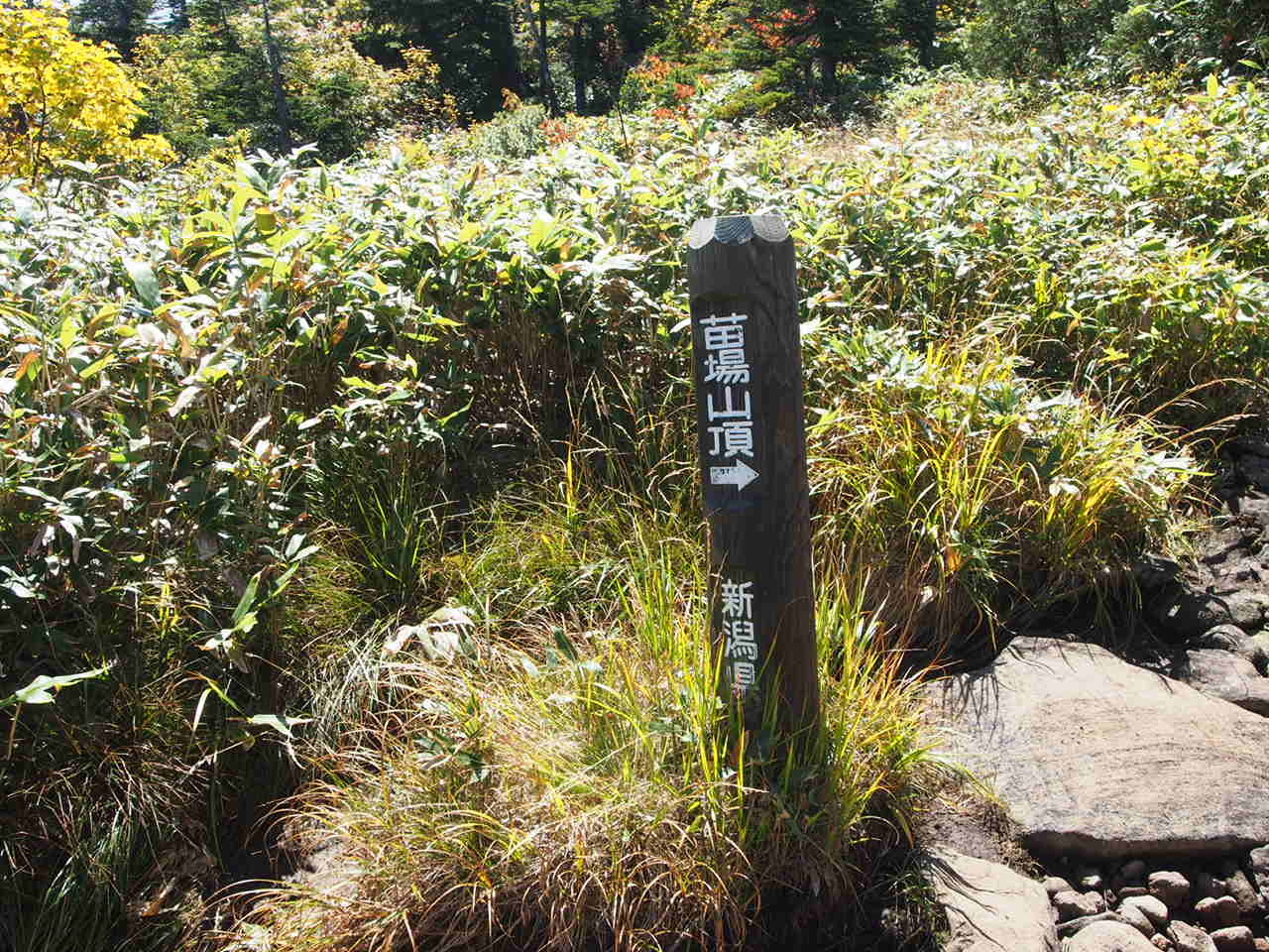 f0353034_14335989.jpg