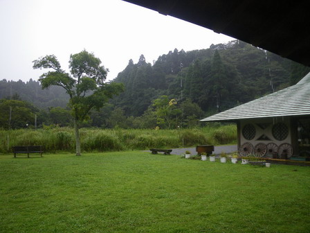 雨、でも多くの秋の生きものたち_a0123836_17132551.jpg