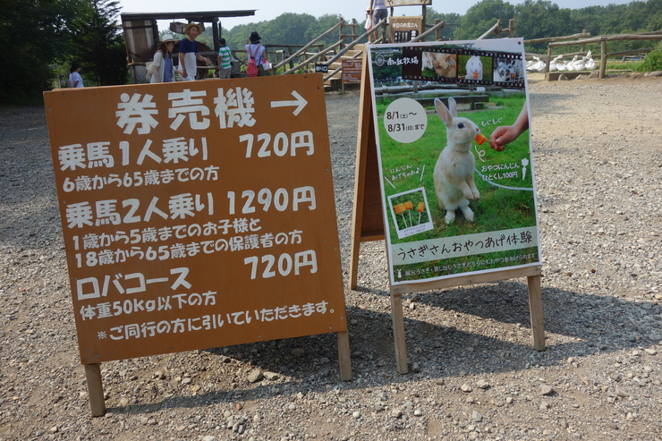 a0287336_8252188.jpg