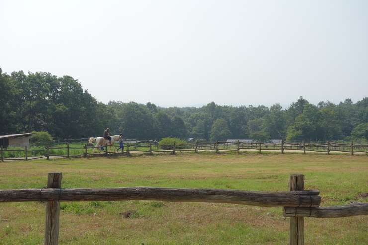 a0287336_8492413.jpg