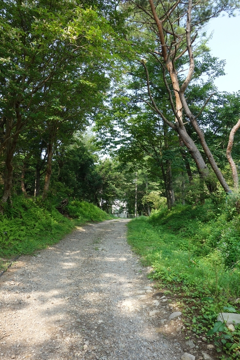 a0287336_8511058.jpg