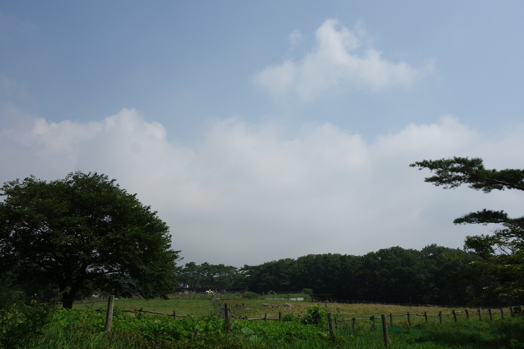 a0287336_8512643.jpg