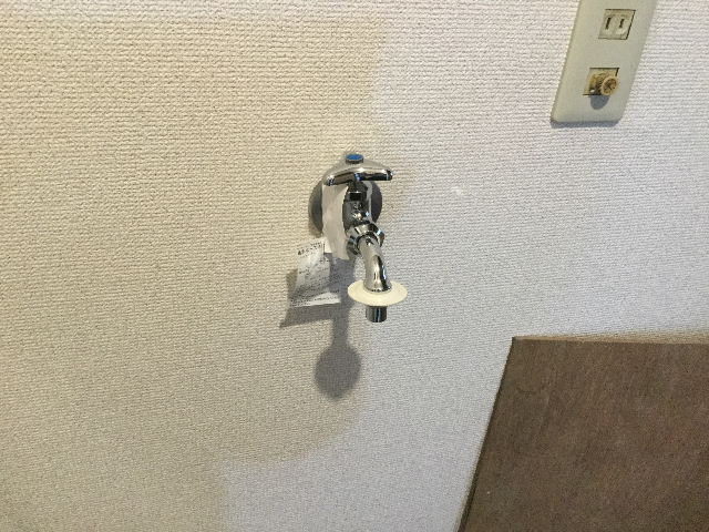11.5日目の作業_f0031037_2041347.jpg