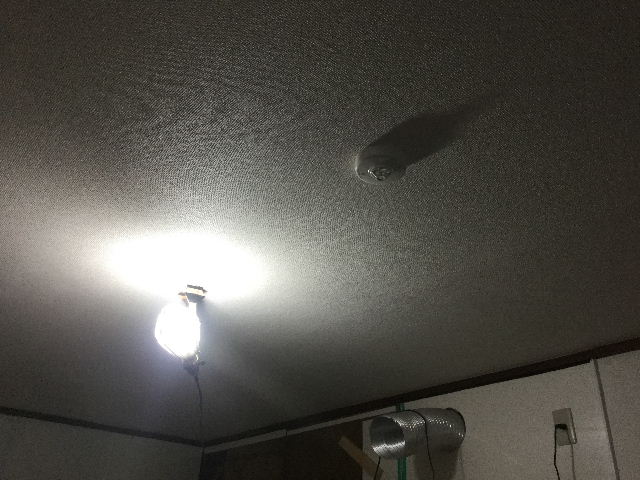 11.5日目の作業_f0031037_2041507.jpg