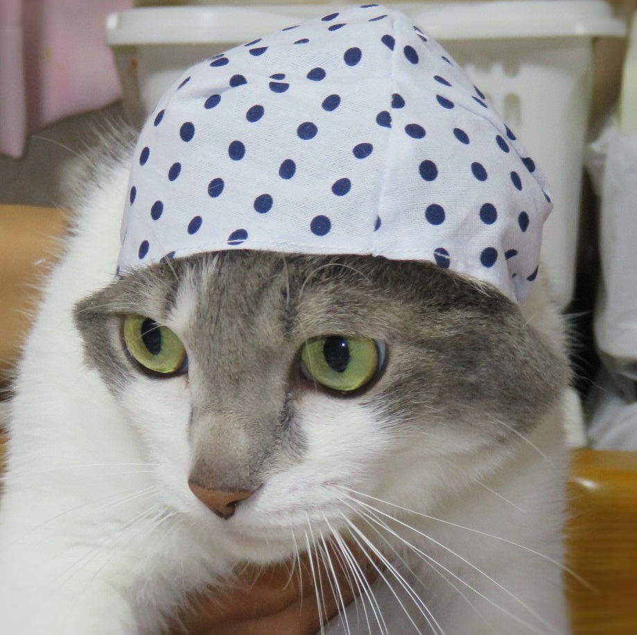 ガチャポンで購入_f0002743_16424020.jpg