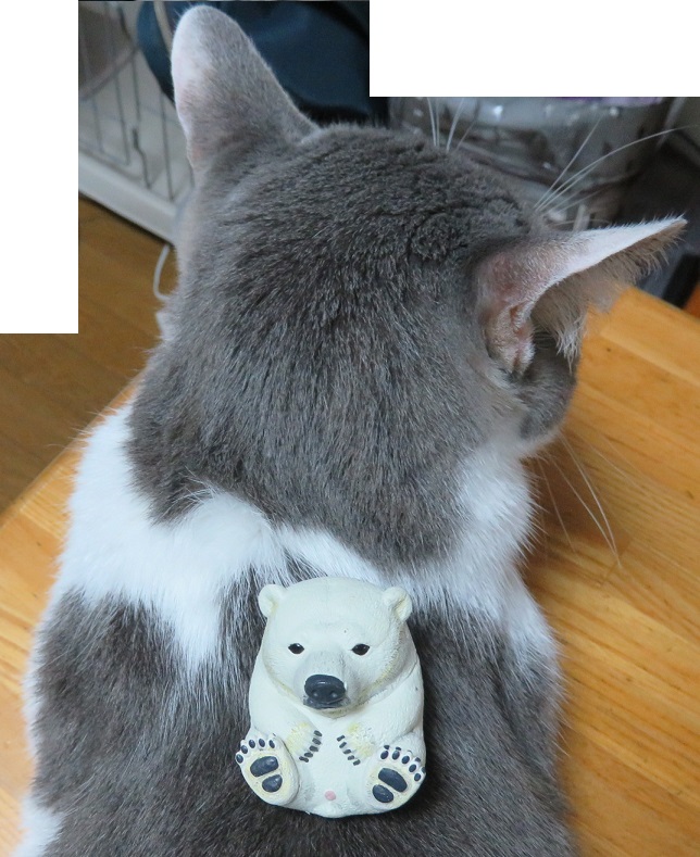 ガチャポンで購入_f0002743_16442737.jpg