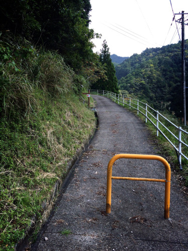 熊野古道@通り峠&丸山千枚田コース_e0292546_07071481.jpg