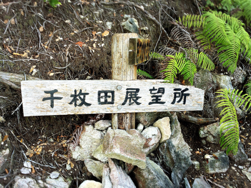 熊野古道@通り峠&丸山千枚田コース_e0292546_07071541.jpg
