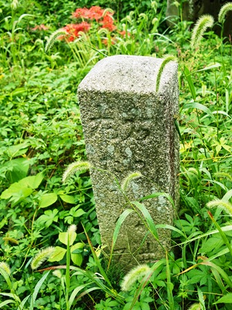 一路、江戸へ・・・朽木家参勤交代の道_d0005250_181267.jpg