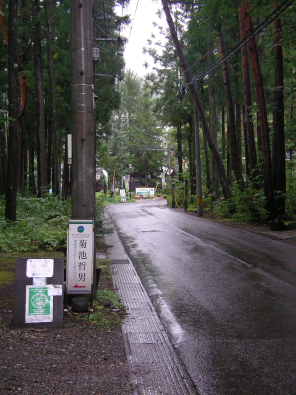 本日のアートガーデン_b0147051_1464734.jpg