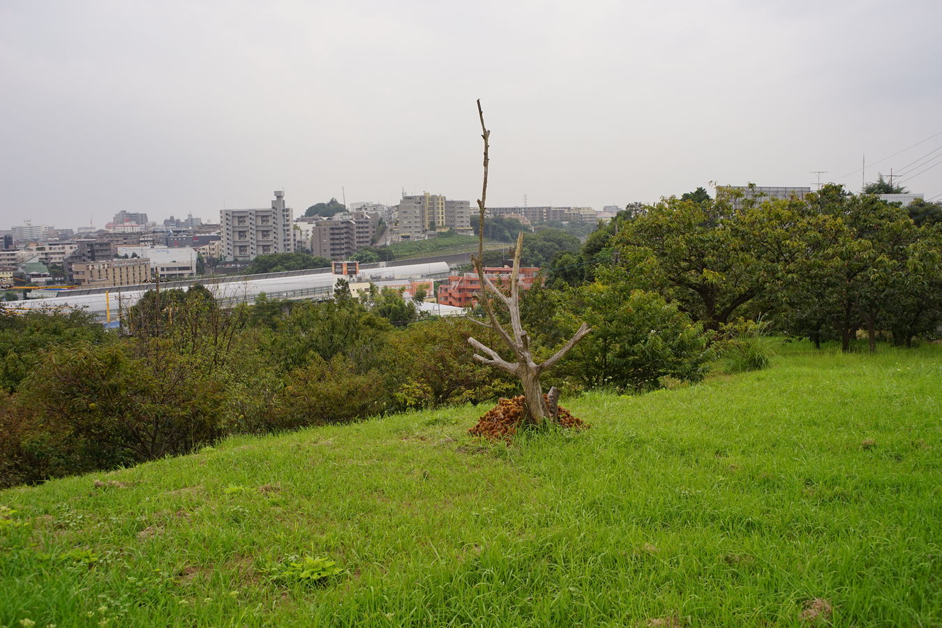 a0063552_13162196.jpg