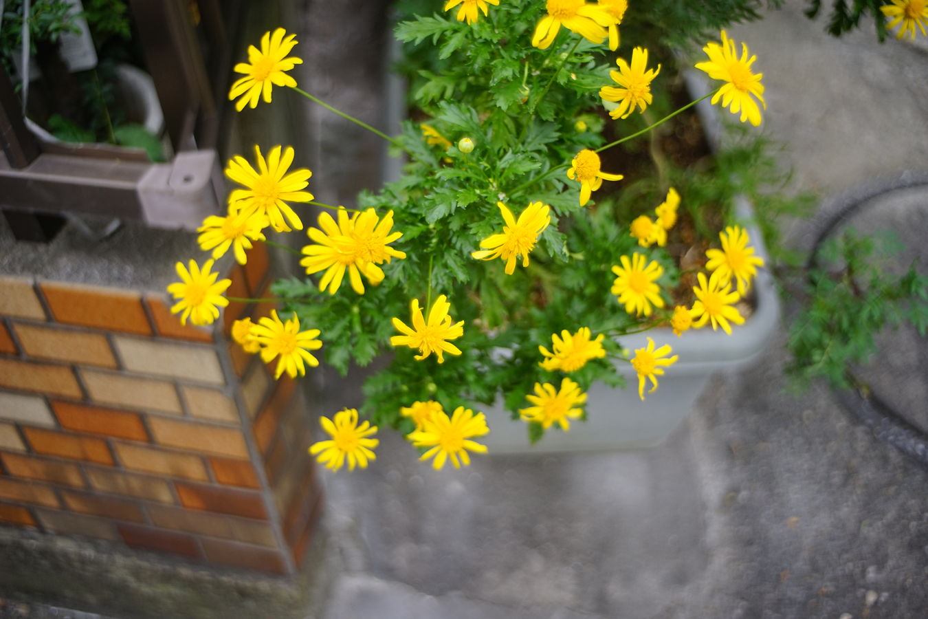 a0063552_13172336.jpg