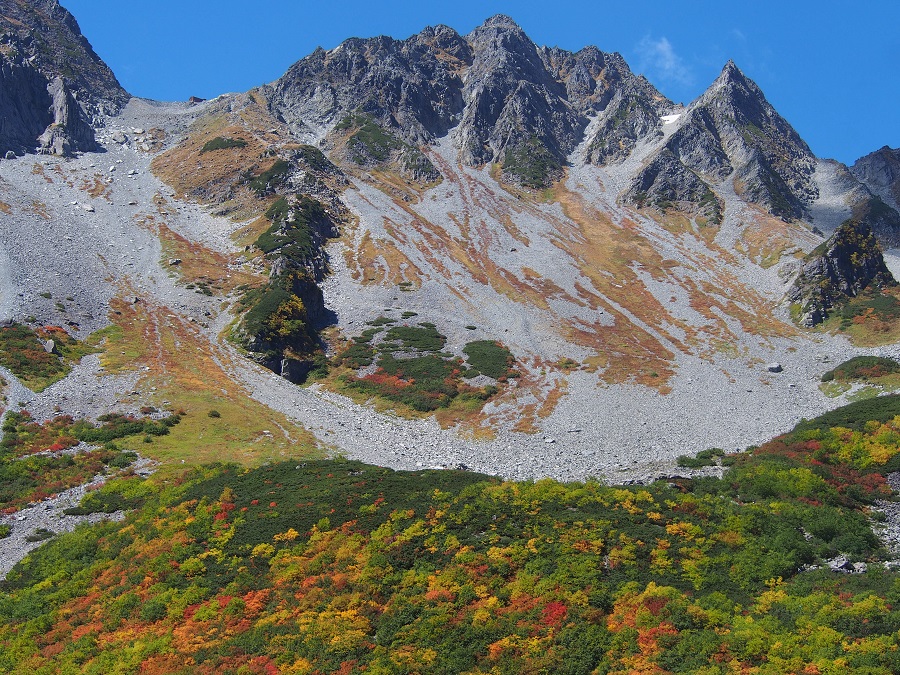 c0042869_8484850.jpg