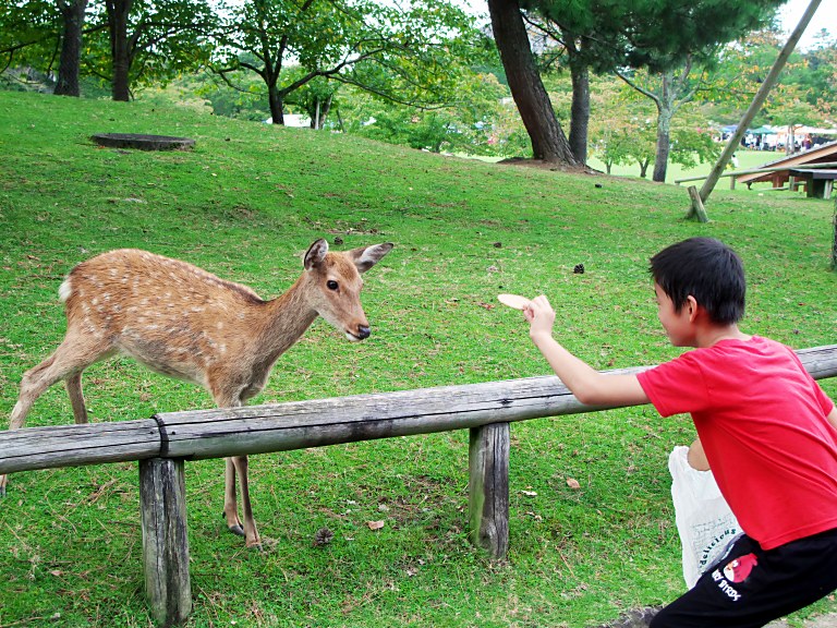 奈良公園ブラリ　20150922_a0050572_15271927.jpg